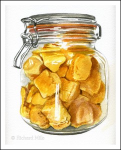 Cinder Toffee 1 (Honeycomb) - Watercolour